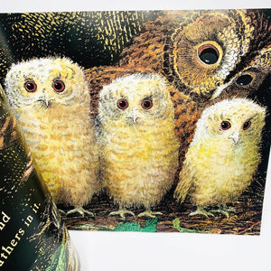 Owl Babies: Book & DVD