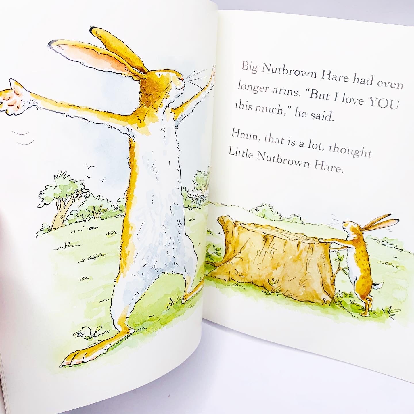 Guess How Much I Love You: Book & DVD