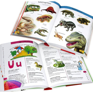 Junior Picture Dictionary and Thesaurus