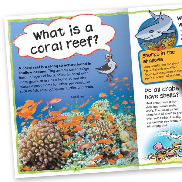Questions & Answers: Oceans