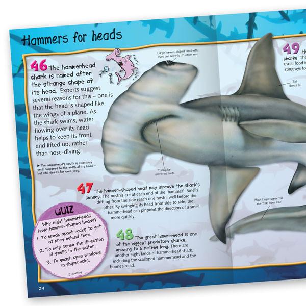 100 Facts Sharks