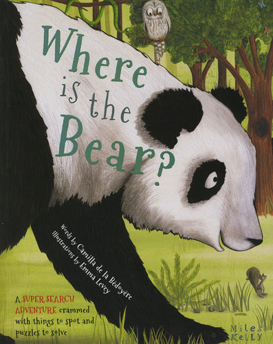 Super Search Adventure: Where is the Bear?